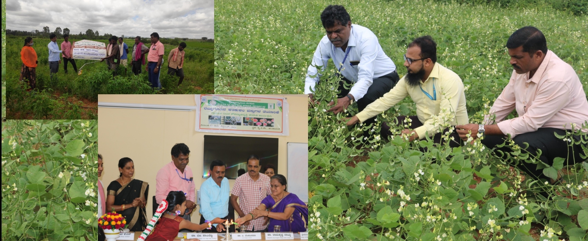 KVK-Chintamani Kolar District