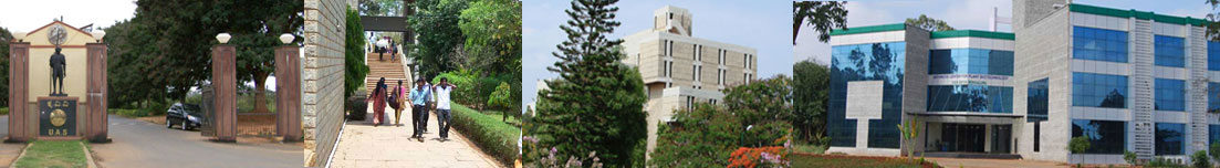 bangalore_college_campus_tour