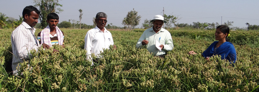 Field visit