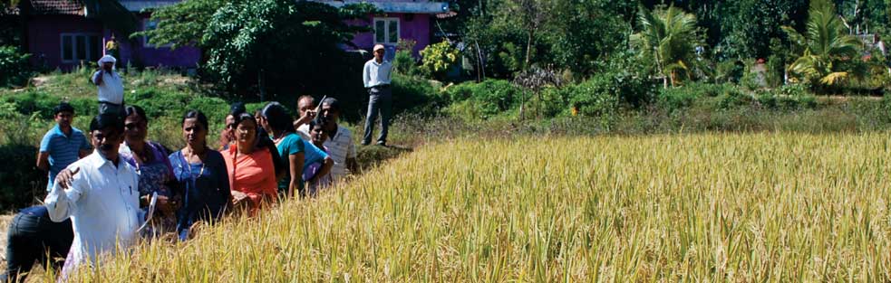 
KVK-V.C Farm Mandya District 